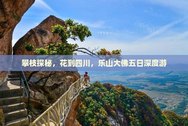攀枝探秘，花到四川，乐山大佛五日深度游