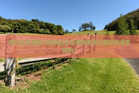 喀什出发至四川青城山五日游攻略及行程安排是怎样的？