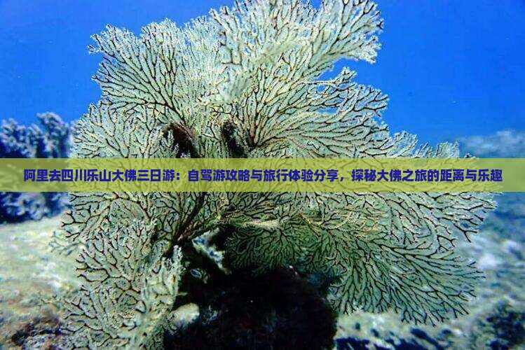 阿里去四川乐山大佛三日游：自驾游攻略与旅行体验分享，探秘大佛之旅的距离与乐趣