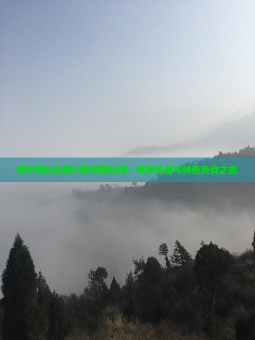 博尔塔拉去四川黄龙四日游：纯净景点与特色美食之旅