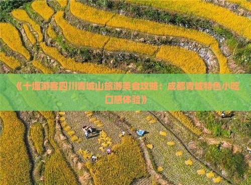 《十堰游客四川青城山旅游美食攻略：成都青城特色小吃口感体验》