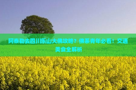 阿泰勒去四川乐山大佛攻略？佛系青年必看！交通+美食全解析