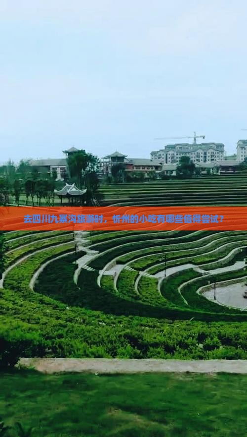 去四川九寨沟旅游时，忻州的小吃有哪些值得尝试？