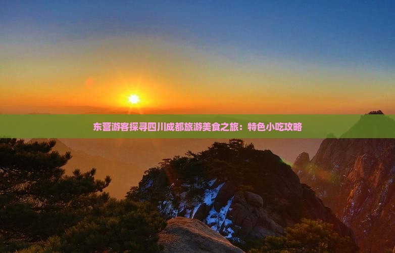 东营游客探寻四川成都旅游美食之旅：特色小吃攻略