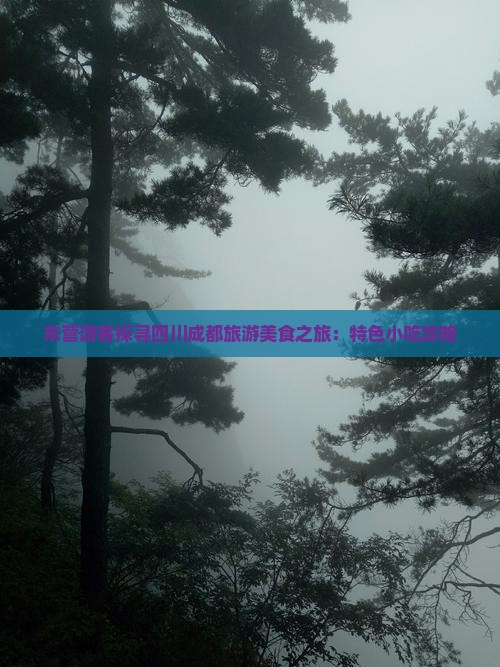 东营游客探寻四川成都旅游美食之旅：特色小吃攻略