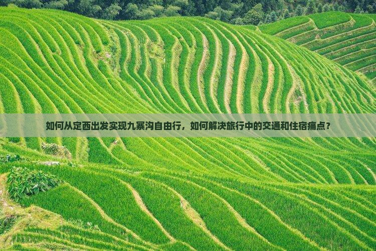如何从定西出发实现九寨沟自由行，如何解决旅行中的交通和住宿痛点？