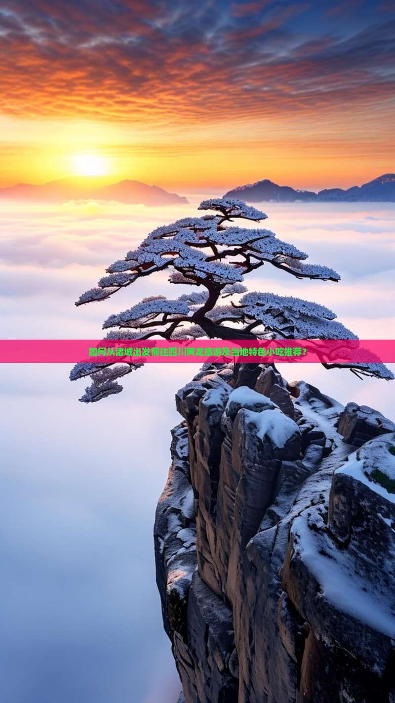 如何从诸城出发前往四川黄龙旅游及当地特色小吃推荐？