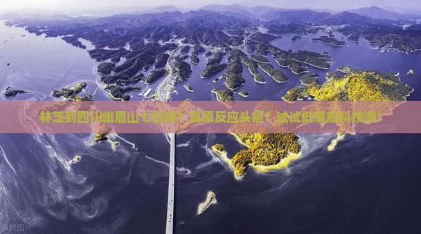 林芝到四川峨眉山七日游？高原反应头疼？试试低氧舱科技游！