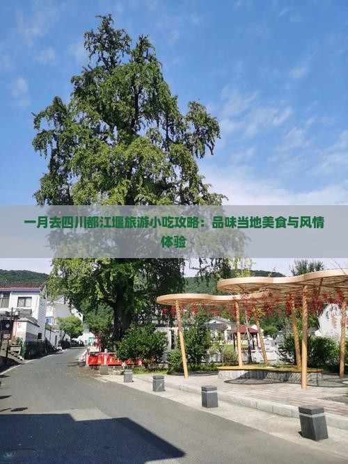 一月去四川都江堰旅游小吃攻略：品味当地美食与风情体验