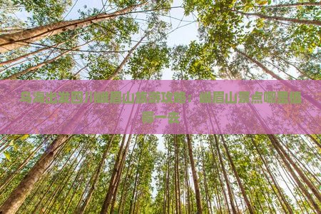 乌海出发四川峨眉山旅游攻略：峨眉山景点哪里值得一去