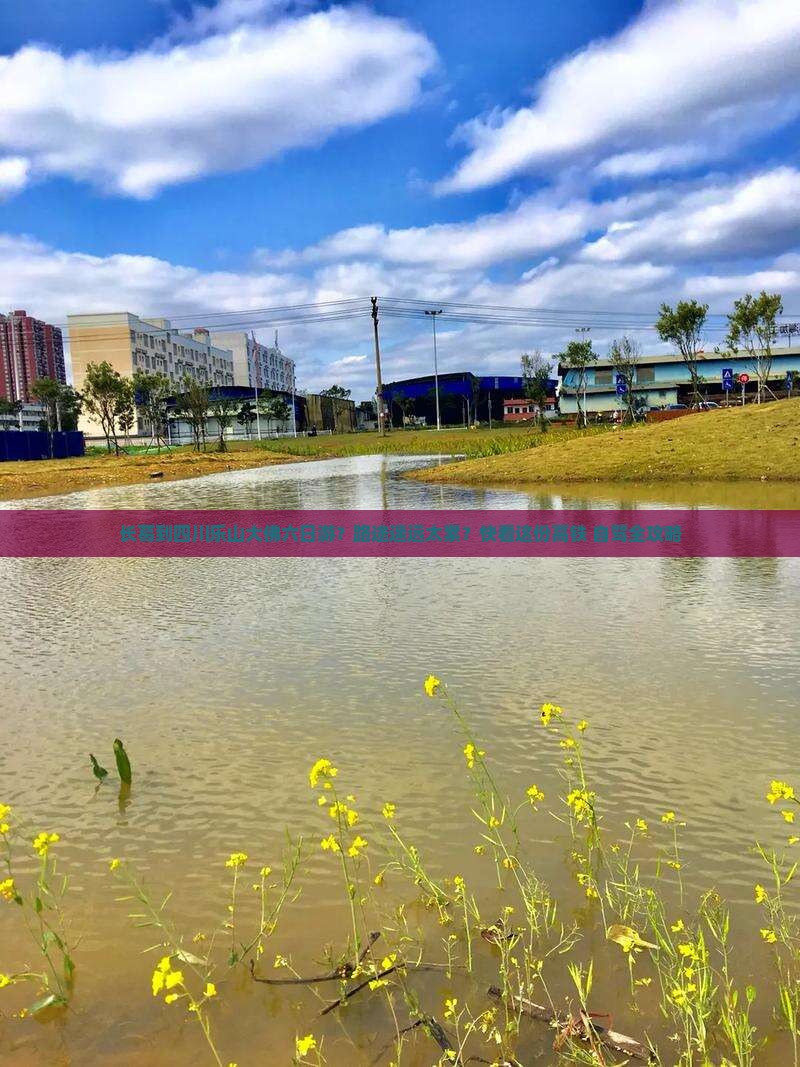 长葛到四川乐山大佛六日游？路途遥远太累？快看这份高铁+自驾全攻略