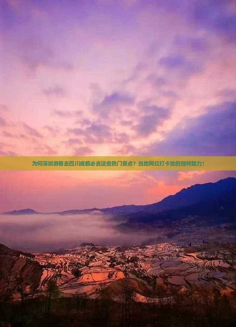 为何深圳游客去四川成都必去这些热门景点？当地网红打卡地的独特魅力！