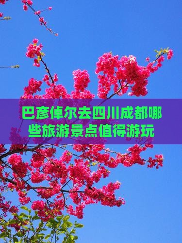 巴彦倬尔去四川成都哪些旅游景点值得游玩