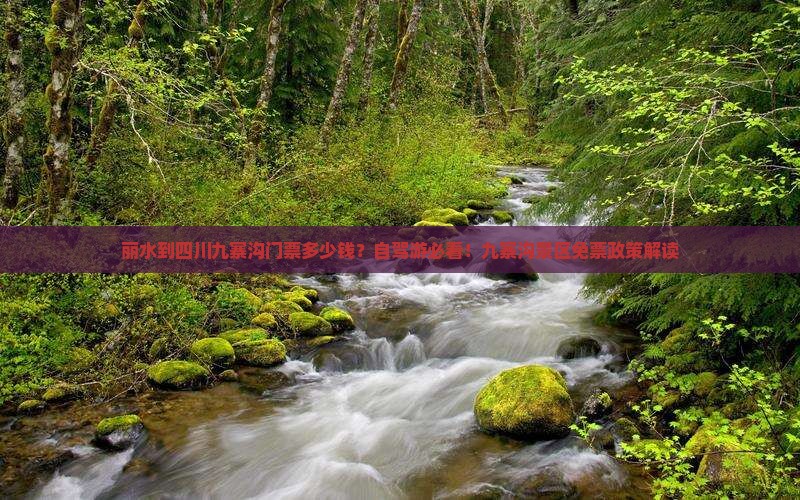 丽水到四川九寨沟门票多少钱？自驾游必看！九寨沟景区免票政策解读