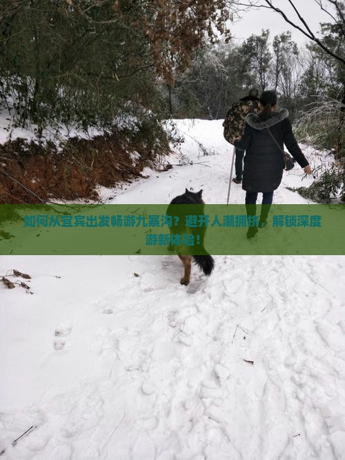 如何从宜宾出发畅游九寨沟？避开人潮拥挤，解锁深度游新体验！