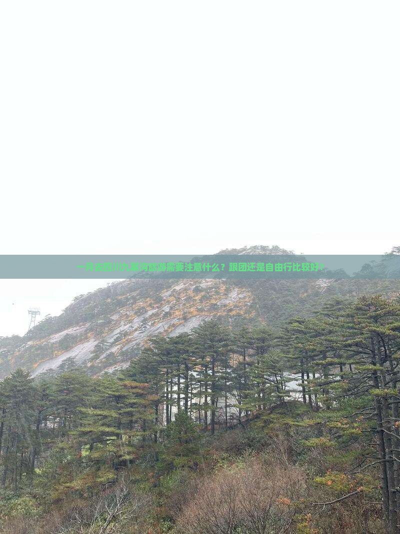 一月去四川九寨沟旅游需要注意什么？跟团还是自由行比较好？