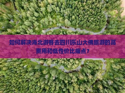 如何解决海北游客去四川乐山大佛旅游的高费用和低性价比痛点？