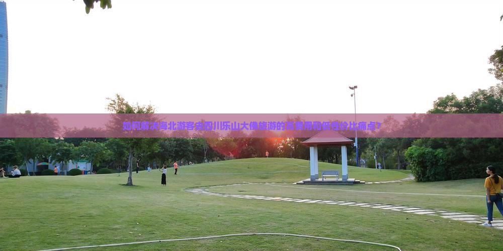 如何解决海北游客去四川乐山大佛旅游的高费用和低性价比痛点？