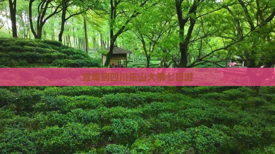 宣城到四川乐山大佛七日游