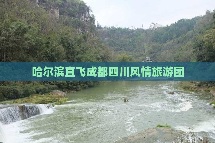 哈尔滨直飞成都四川风情旅游团