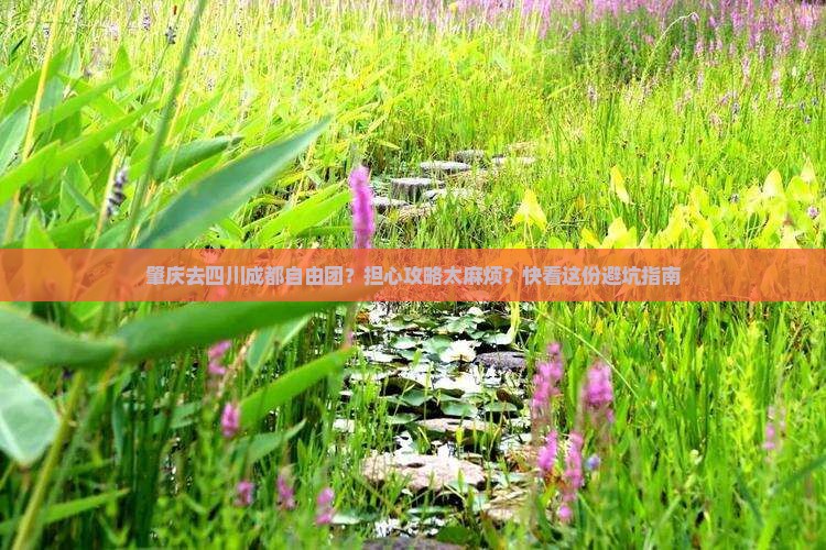 肇庆去四川成都自由团？担心攻略太麻烦？快看这份避坑指南