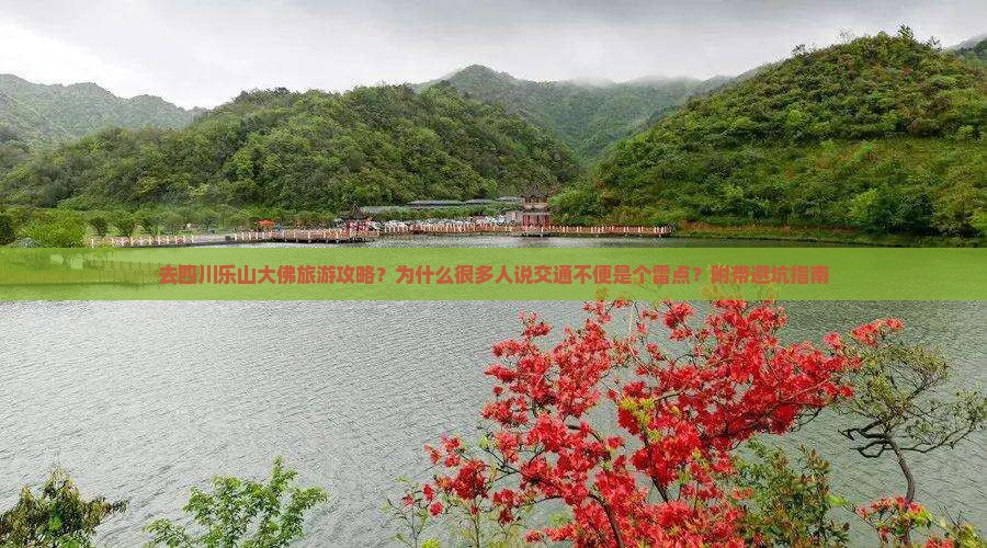 去四川乐山大佛旅游攻略？为什么很多人说交通不便是个雷点？附带避坑指南