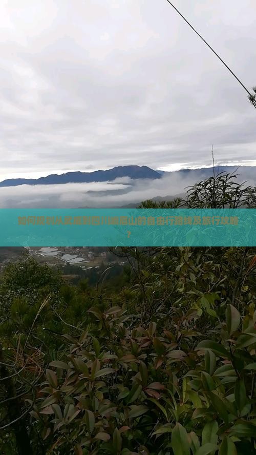 如何规划从武威到四川峨眉山的自由行路线及旅行攻略？
