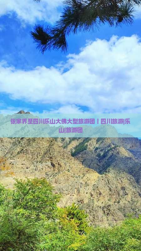 张家界至四川乐山大佛大型旅游团｜四川旅游|乐山|旅游团