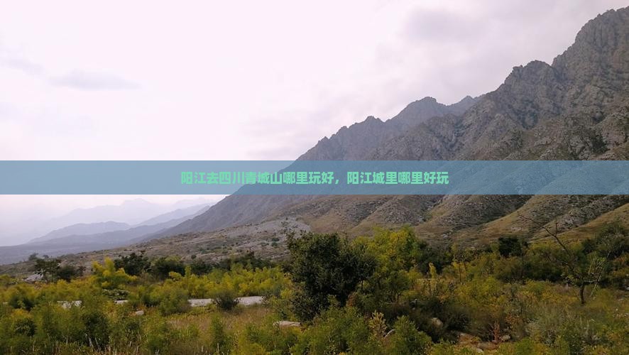 阳江去四川青城山哪里玩好，阳江城里哪里好玩