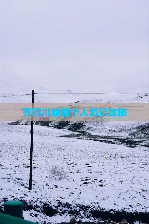节四川成都个人游玩攻略