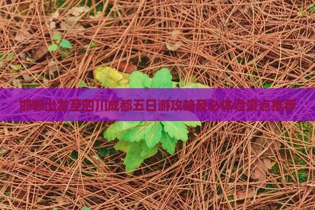 邯郸出发至四川成都五日游攻略及必体验景点推荐