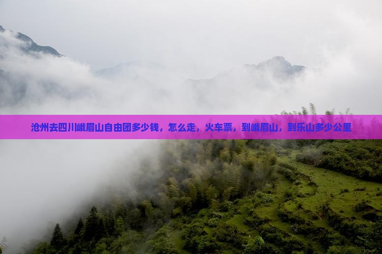 沧州去四川峨眉山自由团