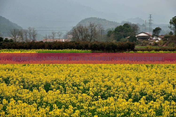 武汉到四川乐山大佛团体旅游