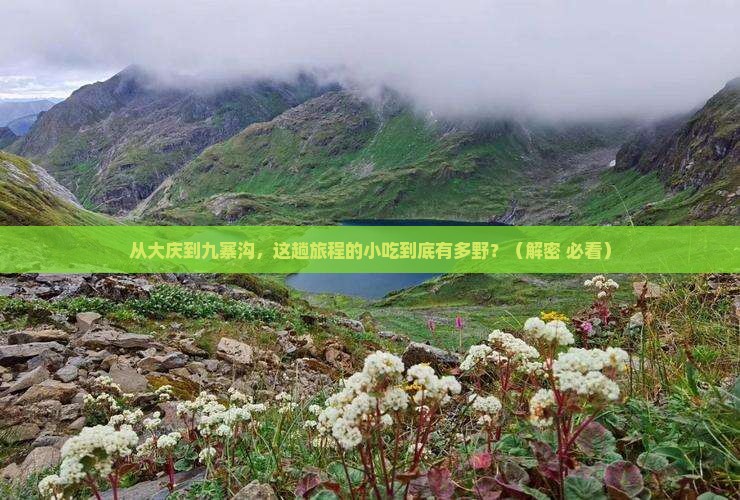 大庆到四川九寨沟旅游小吃