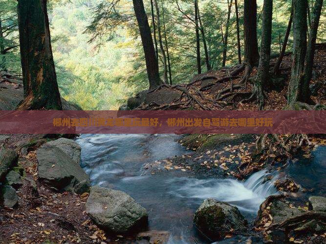 郴州去四川黄龙哪里玩