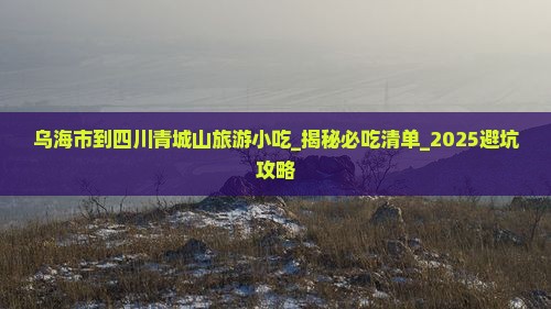 乌海市到四川青城山旅游小吃