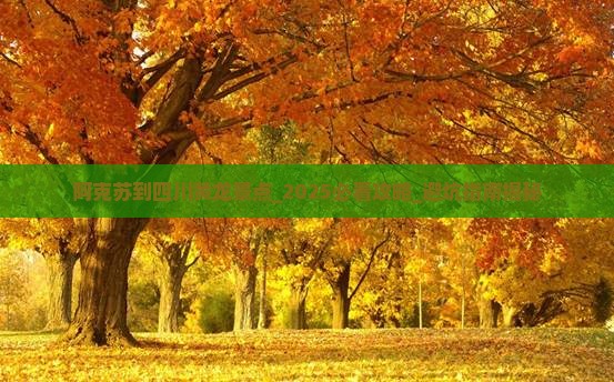 阿克苏到四川黄龙景点