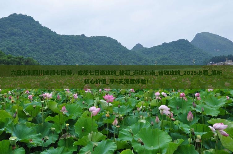六盘水到四川成都七日游