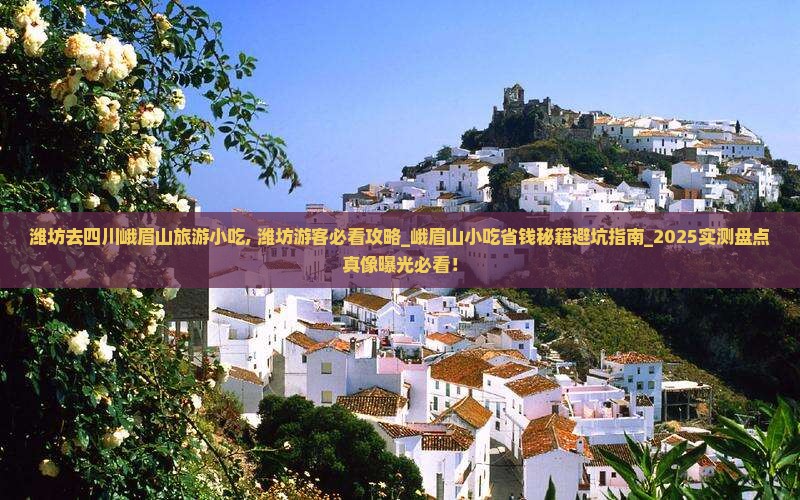 潍坊去四川峨眉山旅游小吃