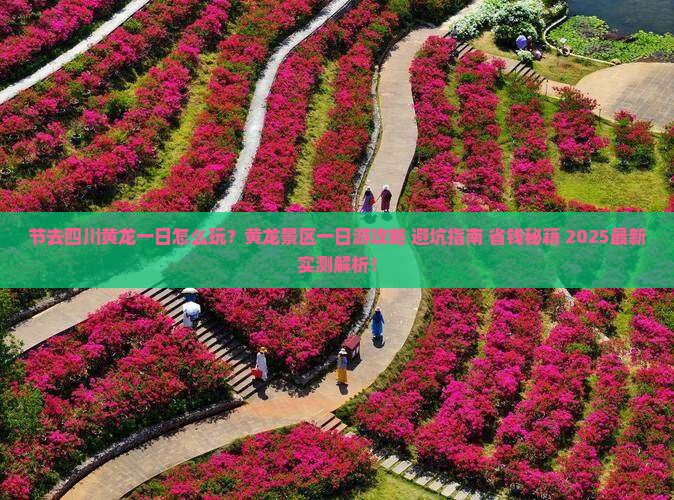 国庆节去四川黄龙一日