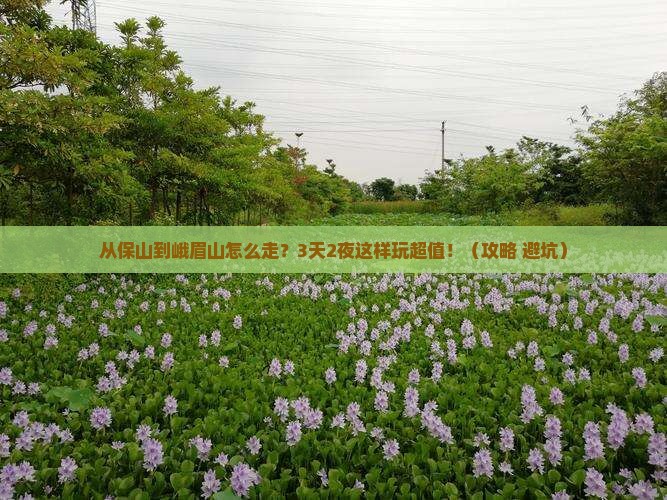 保山去四川峨眉山攻略