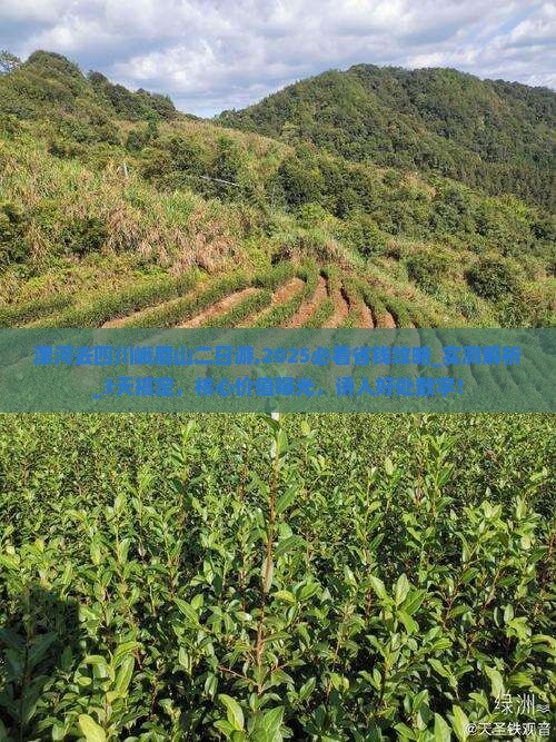 漯河去四川峨眉山二日游