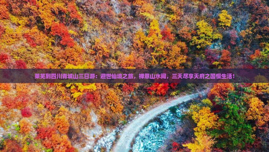 莱芜到四川青城山三日游