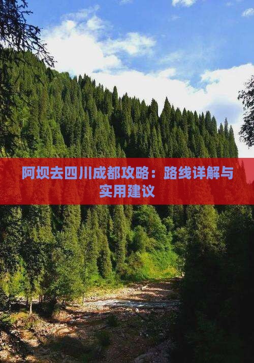 阿坝去四川成都攻略