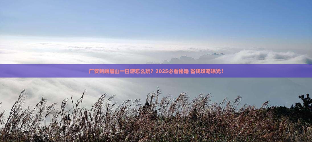广安到四川峨眉山一日