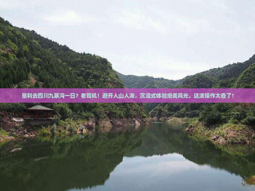 垦利去四川九寨沟一日