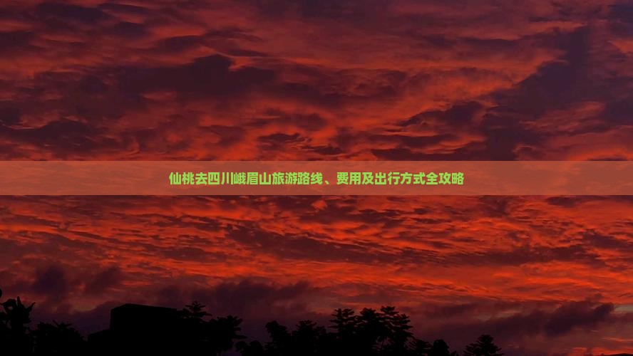 仙桃去四川峨眉山旅游