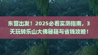 东营到四川乐山大佛二日游
