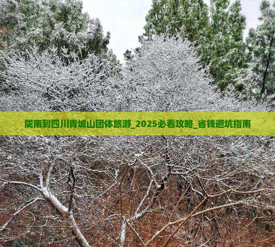 陇南到四川青城山团体旅游