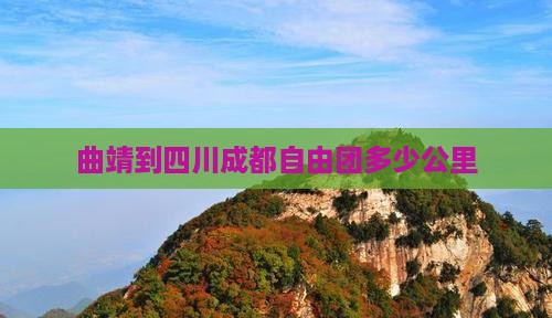 曲靖到四川成都自由团